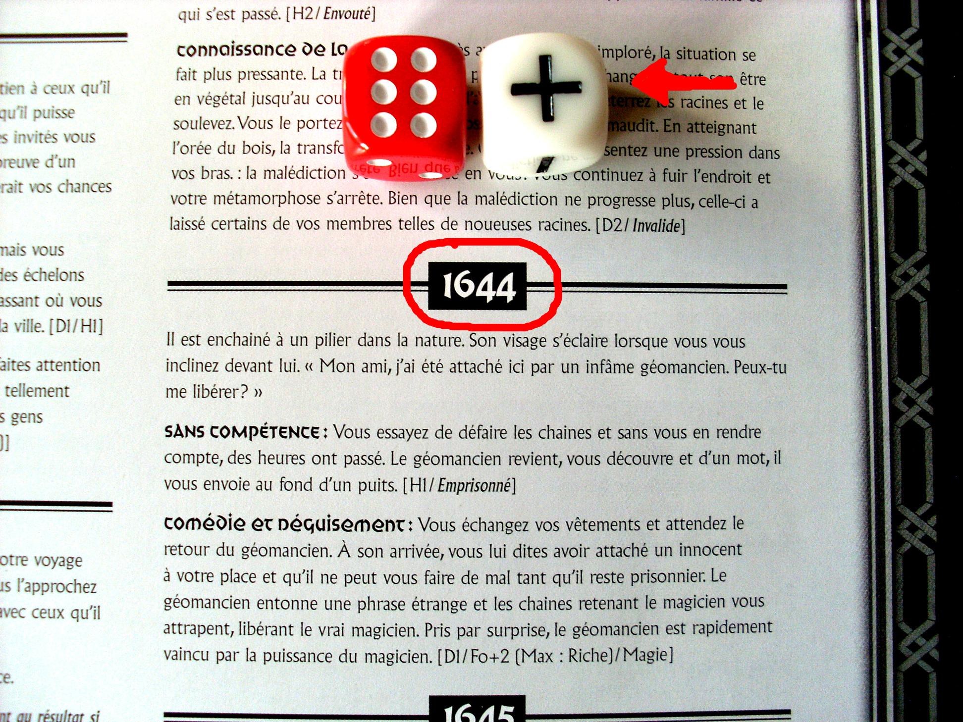 jeux ou on peut faire des rencontres